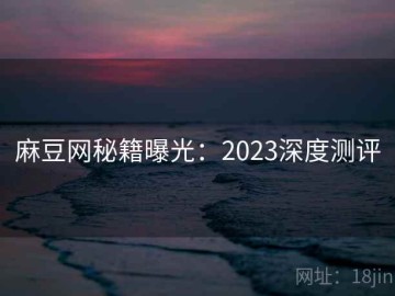 麻豆网秘籍曝光：2023深度测评