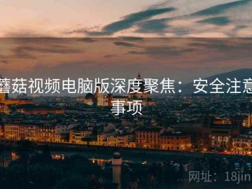蘑菇视频电脑版深度聚焦：安全注意事项