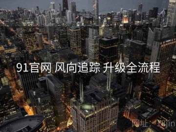 91官网 风向追踪 升级全流程