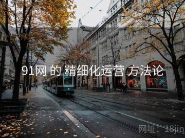 91网 的 精细化运营 方法论