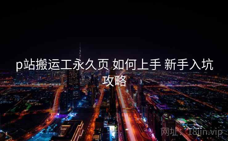 p站搬运工永久页 如何上手 新手入坑攻略