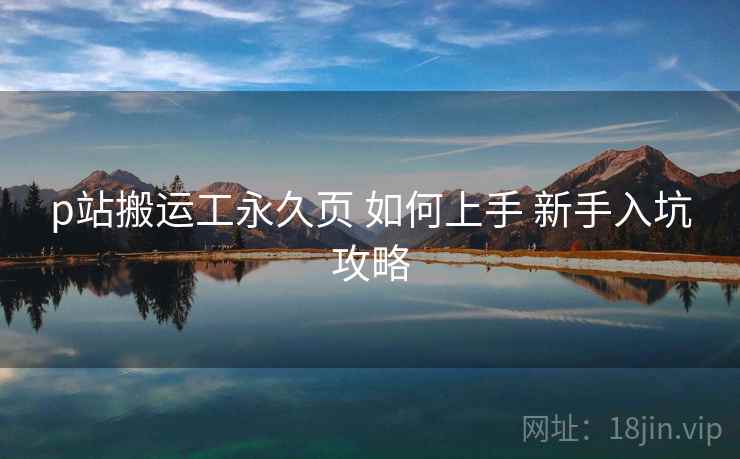 p站搬运工永久页 如何上手 新手入坑攻略