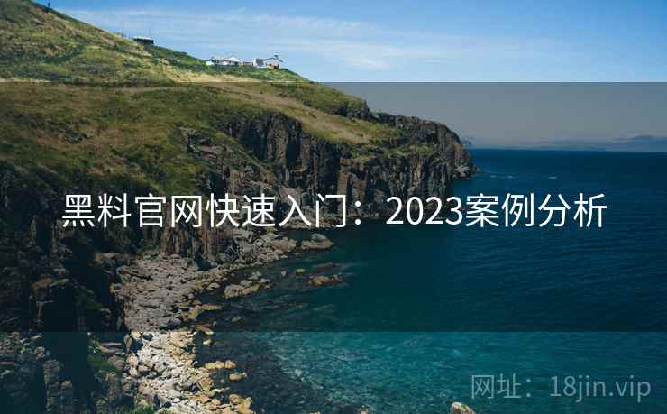 黑料官网快速入门：2023案例分析
