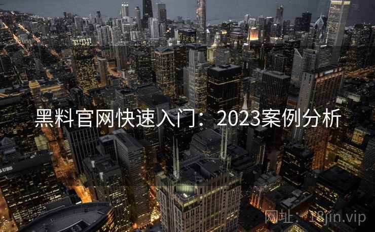 黑料官网快速入门：2023案例分析