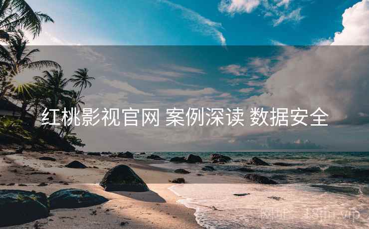 红桃影视官网 案例深读 数据安全