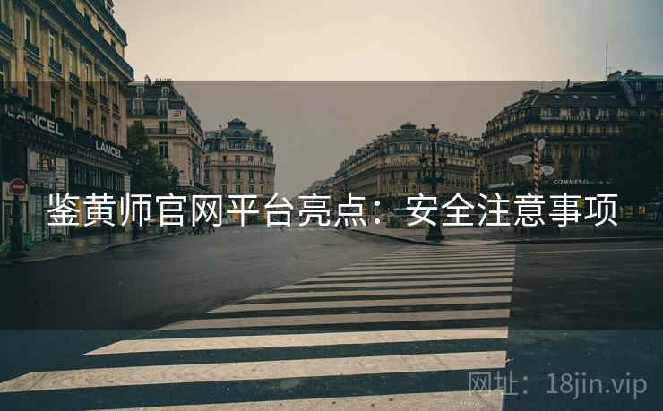 鉴黄师官网平台亮点：安全注意事项