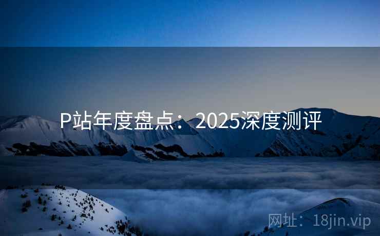 P站年度盘点：2025深度测评