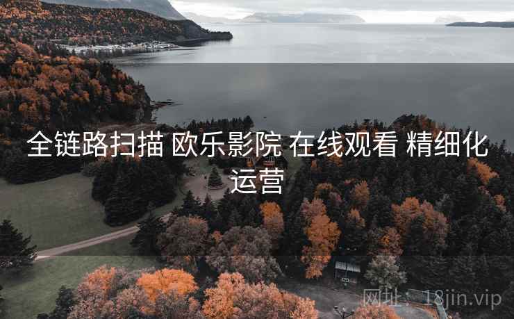 全链路扫描 欧乐影院 在线观看 精细化运营