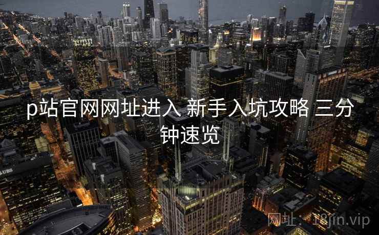 p站官网网址进入 新手入坑攻略 三分钟速览