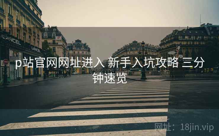 p站官网网址进入 新手入坑攻略 三分钟速览