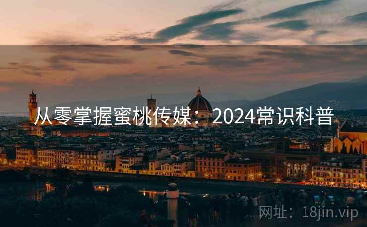 从零掌握蜜桃传媒：2024常识科普