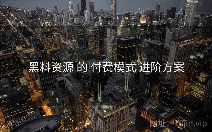黑料资源 的 付费模式 进阶方案