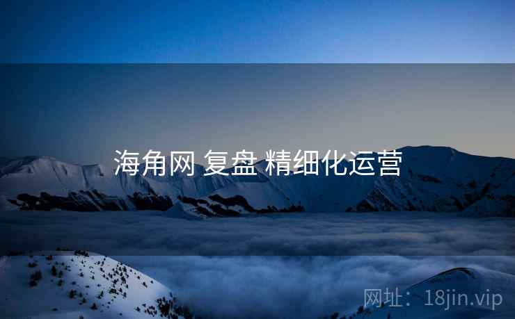 海角网 复盘 精细化运营