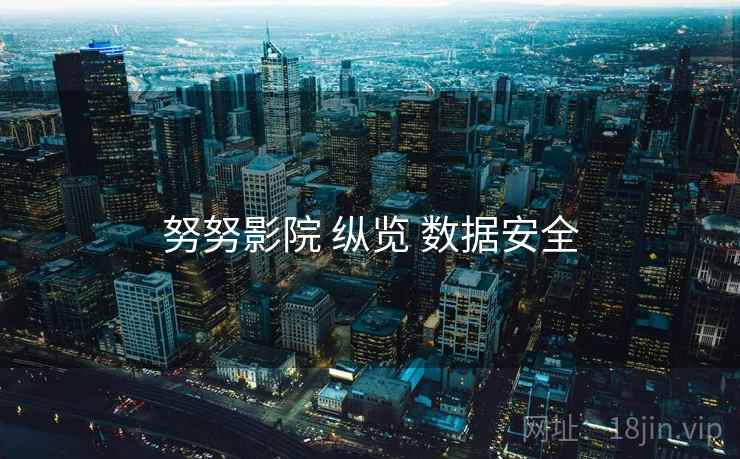 努努影院 纵览 数据安全