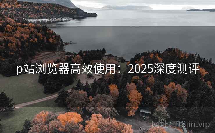 p站浏览器高效使用：2025深度测评