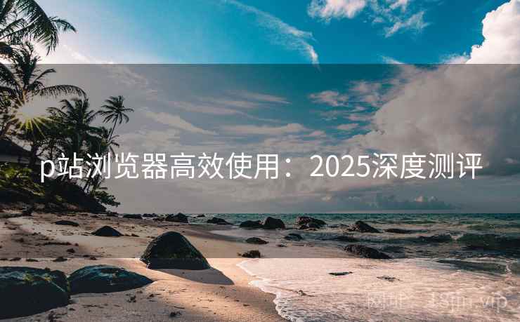 p站浏览器高效使用：2025深度测评