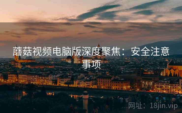 蘑菇视频电脑版深度聚焦：安全注意事项