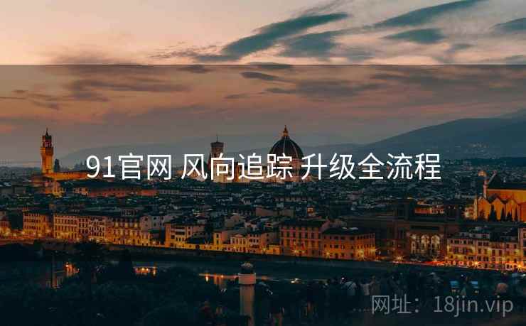 91官网 风向追踪 升级全流程