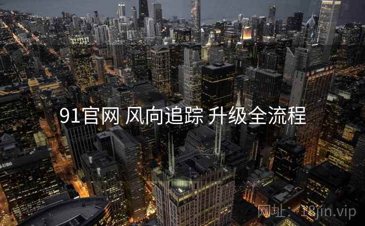 91官网 风向追踪 升级全流程