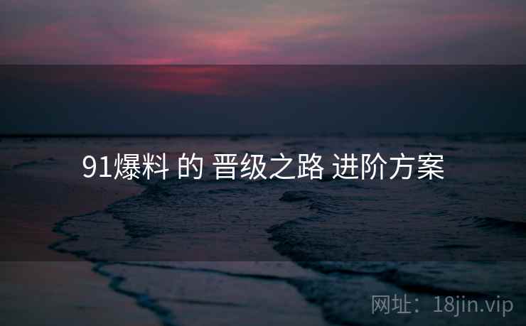 91爆料 的 晋级之路 进阶方案