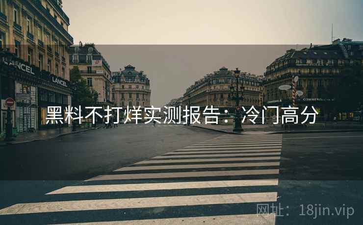 黑料不打烊实测报告：冷门高分