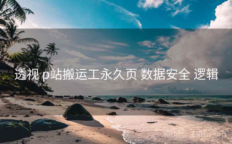 透视 p站搬运工永久页 数据安全 逻辑