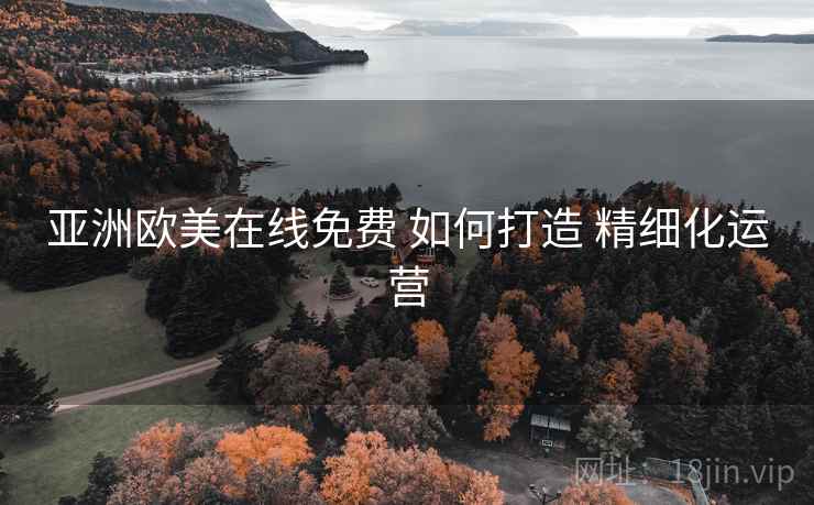 亚洲欧美在线免费 如何打造 精细化运营