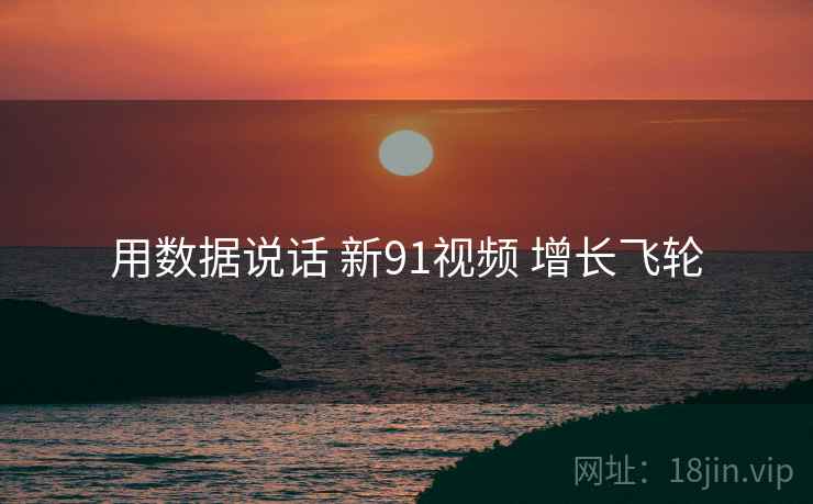 用数据说话 新91视频 增长飞轮