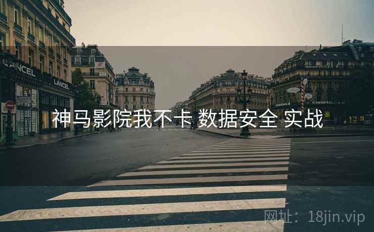神马影院我不卡 数据安全 实战