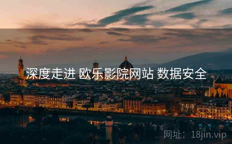 深度走进 欧乐影院网站 数据安全