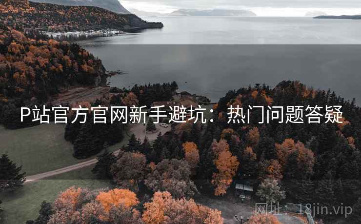 P站官方官网新手避坑：热门问题答疑
