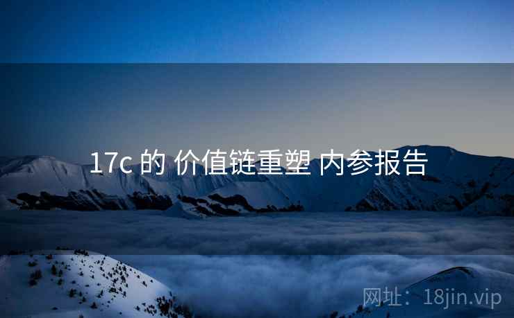 17c 的 价值链重塑 内参报告