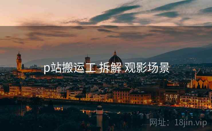 p站搬运工 拆解 观影场景