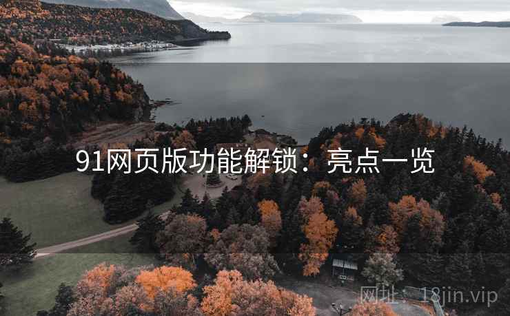 91网页版功能解锁：亮点一览
