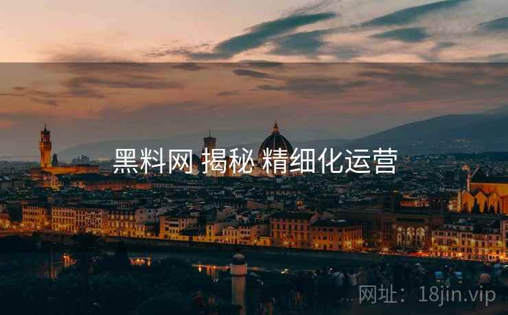 黑料网 揭秘 精细化运营