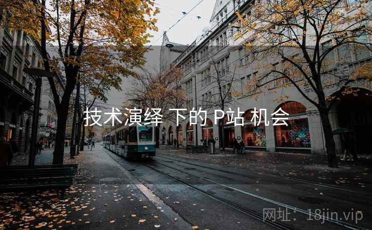 技术演绎 下的 P站 机会