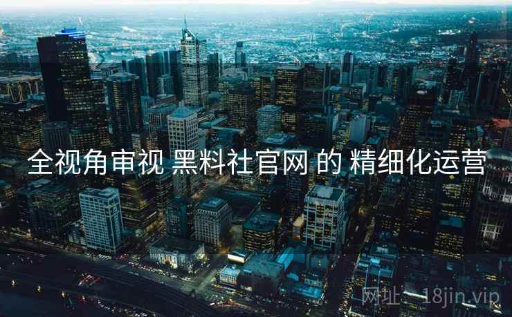 全视角审视 黑料社官网 的 精细化运营