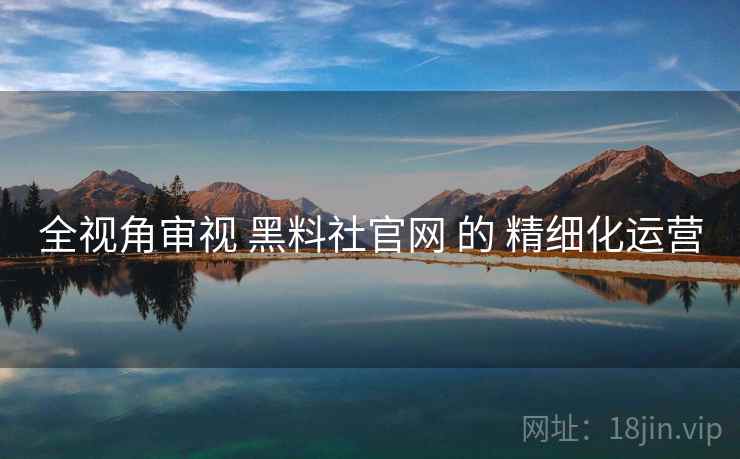 全视角审视 黑料社官网 的 精细化运营