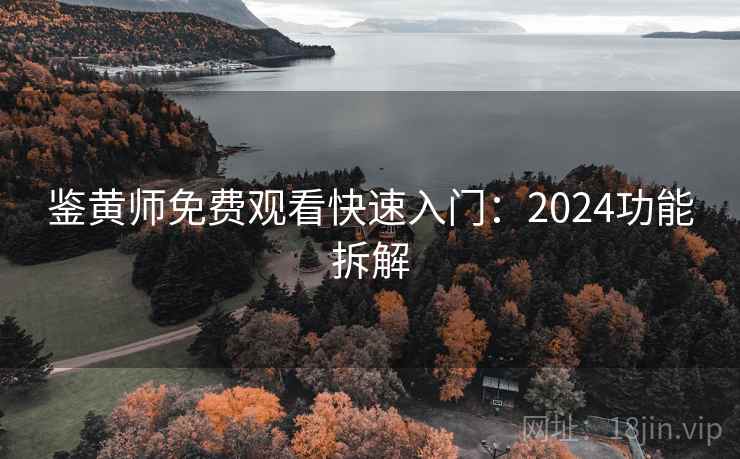 鉴黄师免费观看快速入门：2024功能拆解