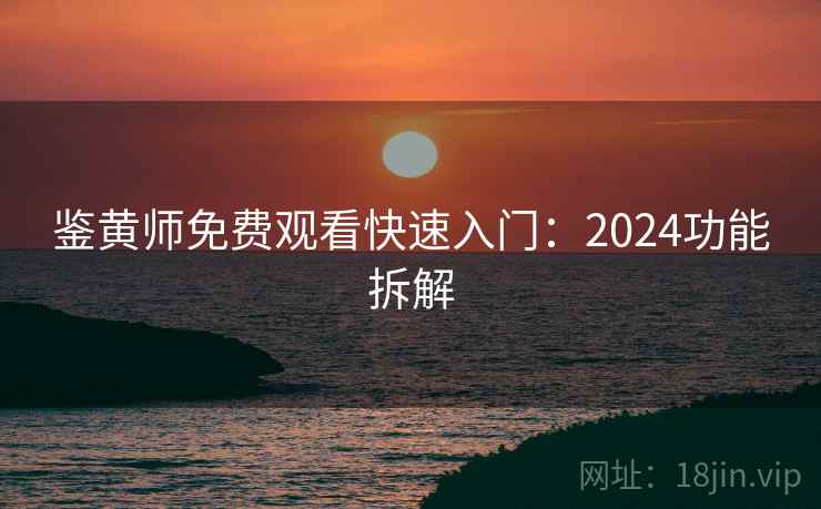 鉴黄师免费观看快速入门：2024功能拆解