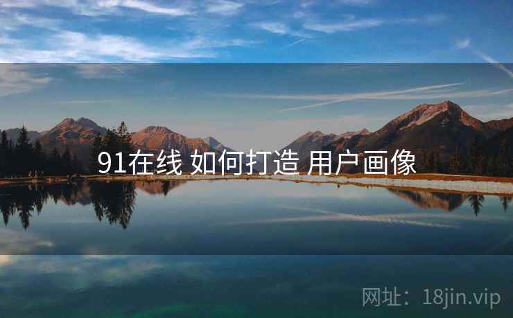91在线 如何打造 用户画像