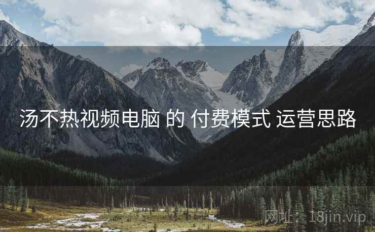 汤不热视频电脑 的 付费模式 运营思路