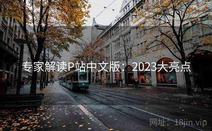 专家解读P站中文版：2023大亮点