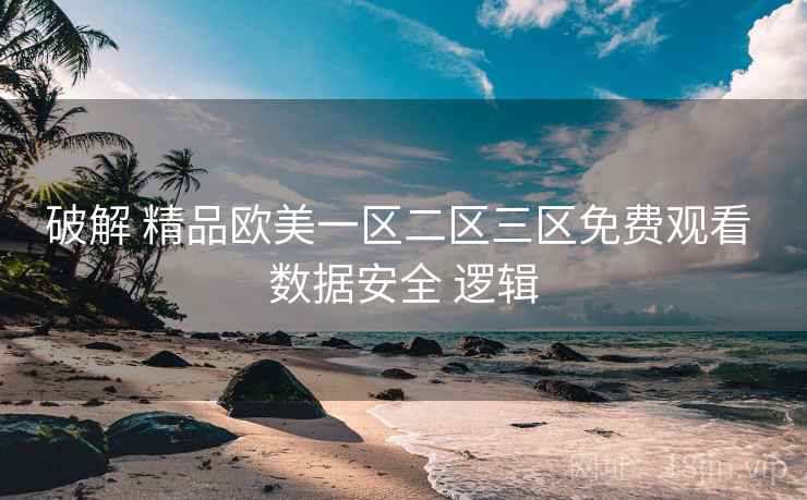 破解 精品欧美一区二区三区免费观看 数据安全 逻辑