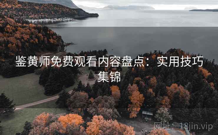 鉴黄师免费观看内容盘点：实用技巧集锦