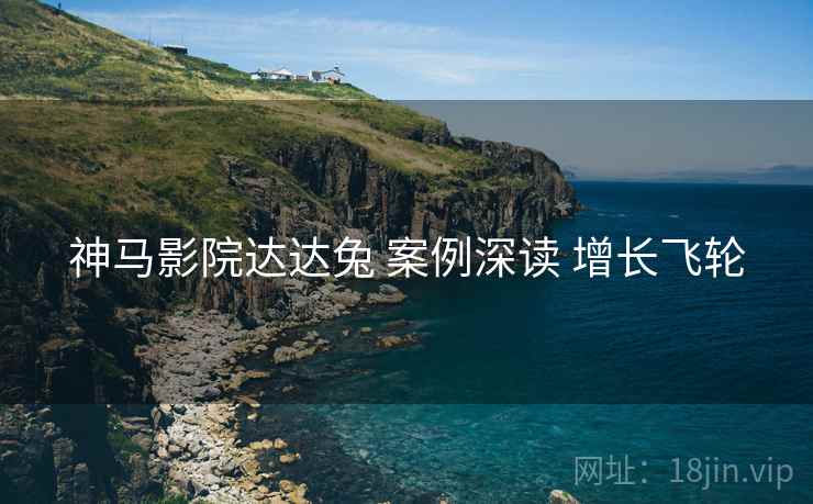 神马影院达达兔 案例深读 增长飞轮